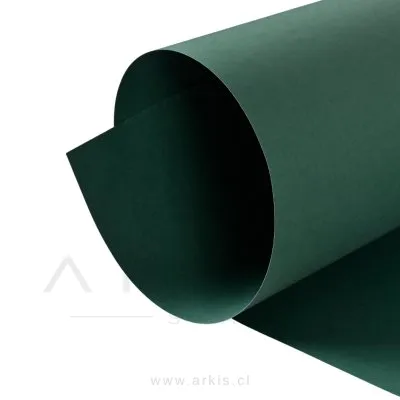 Cartulina Española Torre 50X70 cm Verde Oscuro 25 Unidades
