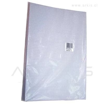Cuadernillo Proarte Oficio 5 mm 5 Hojas