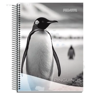 Cuaderno Carta Proarte Nature M7 120 Hojas