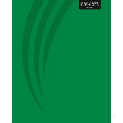 Cuaderno Universitario Proarte Espiral Doble Liso Croquis 100 Hojas