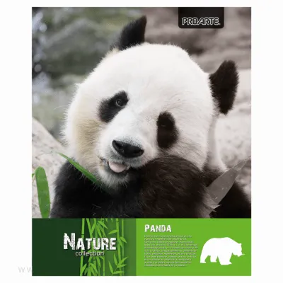 Cuaderno Universitario Proarte Nature M7 Espiral Doble 100 Hojas