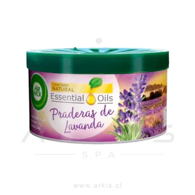 Desodorante Ambiental Airwick Lata Gel Prederas de Lavanda 70 G
