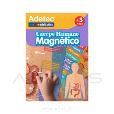 Láminas Magnéticas Interactivas Adetec Cuerpo Humano