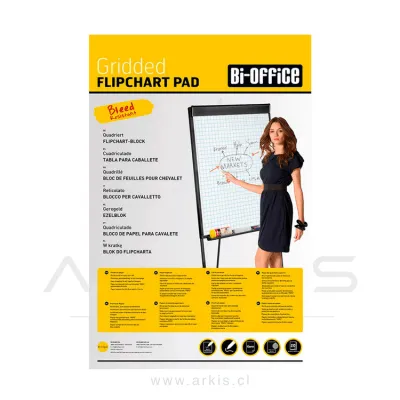 Papel Papelógrafo Bisilque Cuadriculado 20 Hojas 65x98 cm Pack 5 Unidades