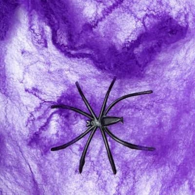 Telaraña Feco Halloween 20 g Morado